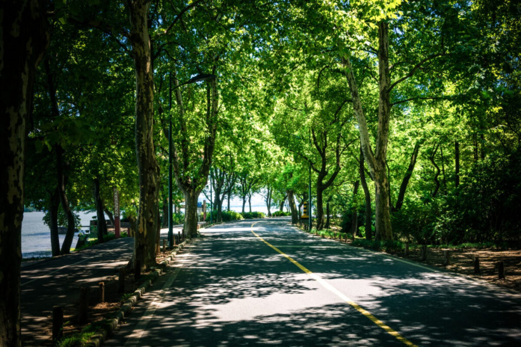 Cele mai frumoase parcuri și zone verzi din București