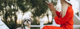 Cum alegi cu Viva Holidays hoteluri pet-friendly pe litoralul bulgăresc