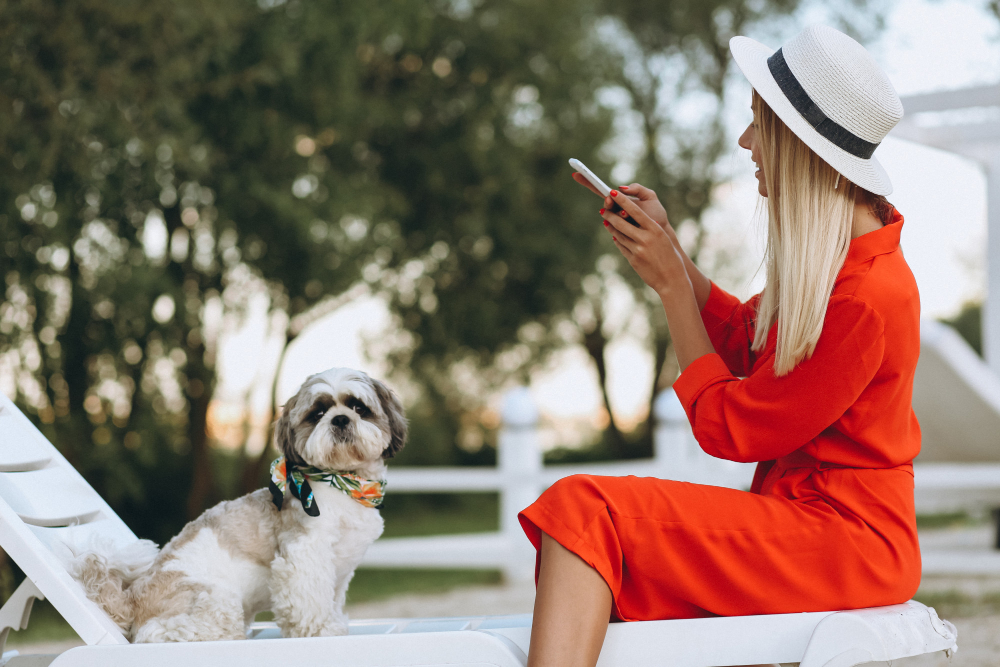 Cum alegi cu Viva Holidays hoteluri pet-friendly pe litoralul bulgăresc